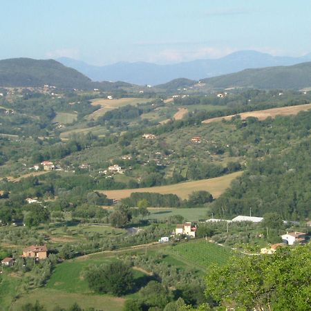 Agriturismo Poggio Della Rosa Амелиа Екстериор снимка
